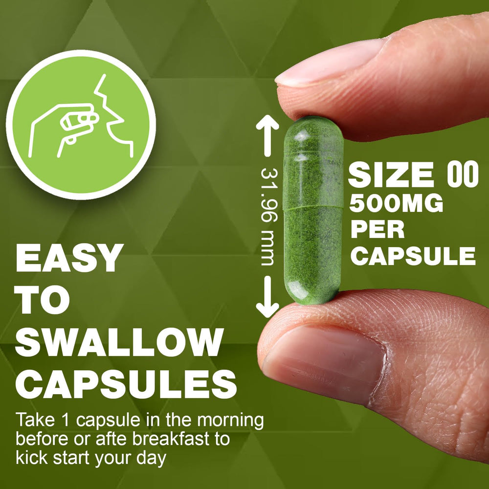 Graphic showing two-ingredient formula: moringa leaf powder and capsule shell