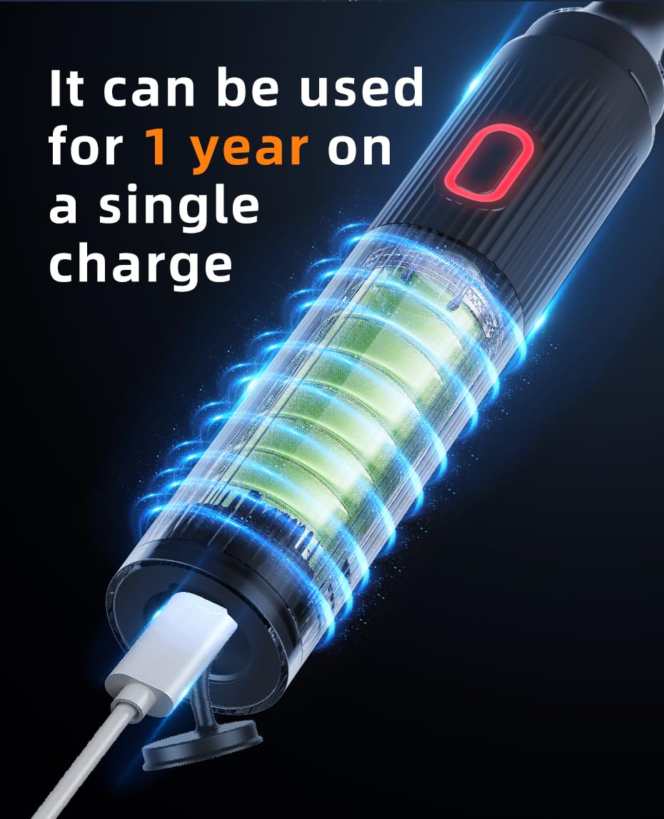 Two-minute brushing timer display