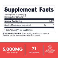 Type Zero Creatine Monohydrate Powder 500g container Tropical Punch side view