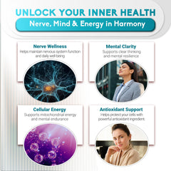 Liposomal delivery concept illustration for Ultra Benfotiamine