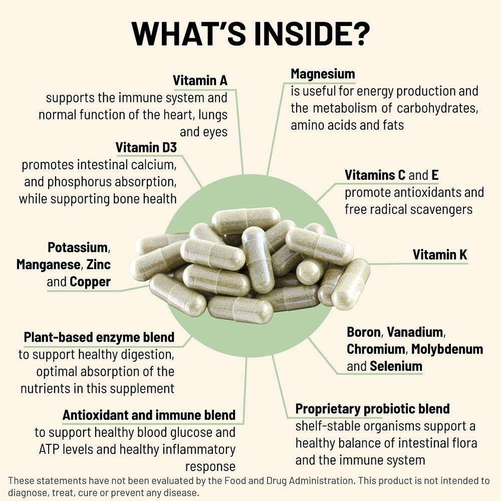 Capsules representing vitamins A, B12, B6, C, D, E and minerals in the supplement