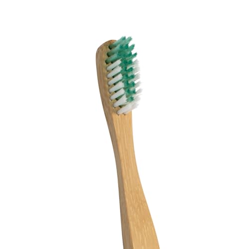 Close-up of ultra-soft nylon bristles