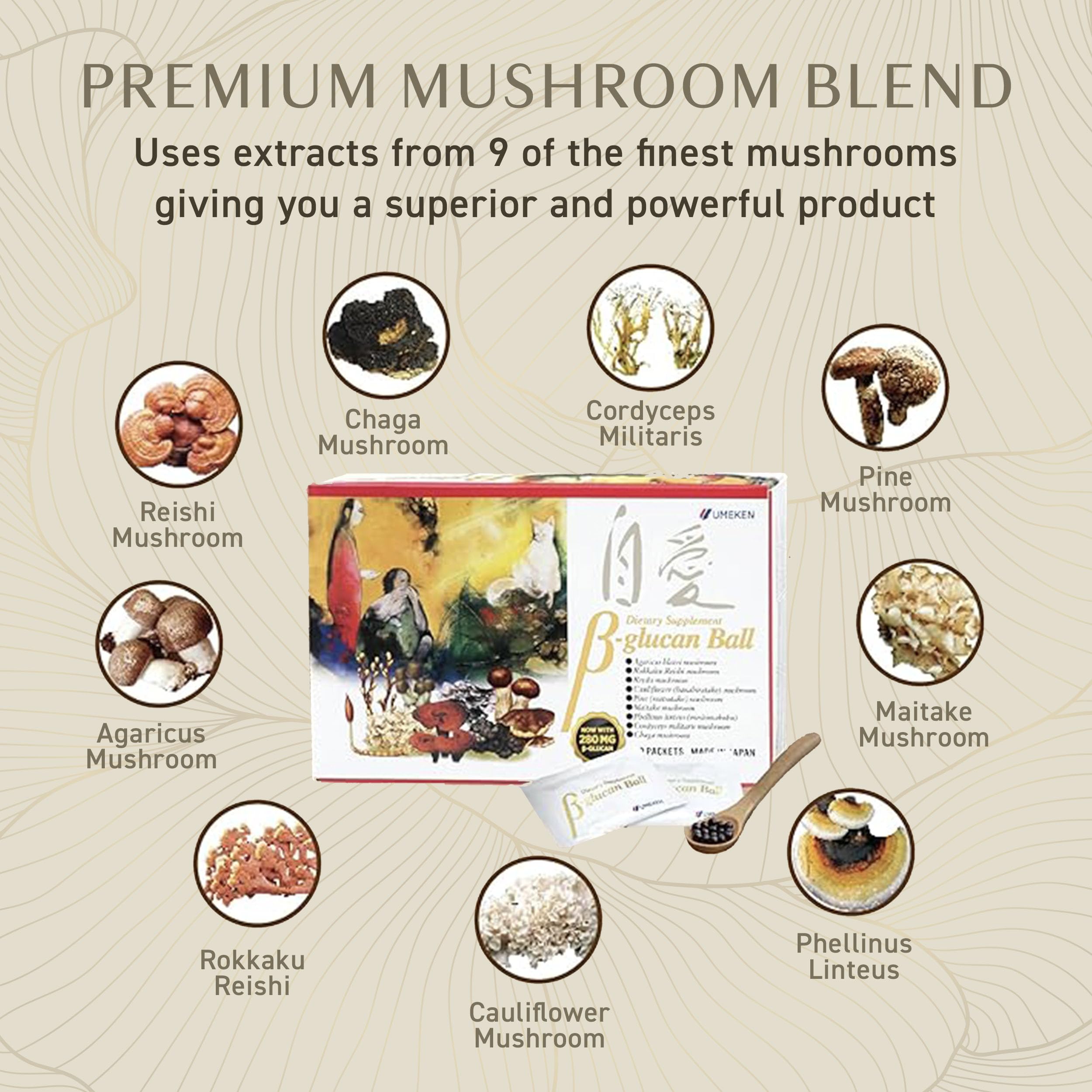List of mushrooms including Reishi, Maitake, Chaga in Umeken Beta Glucan