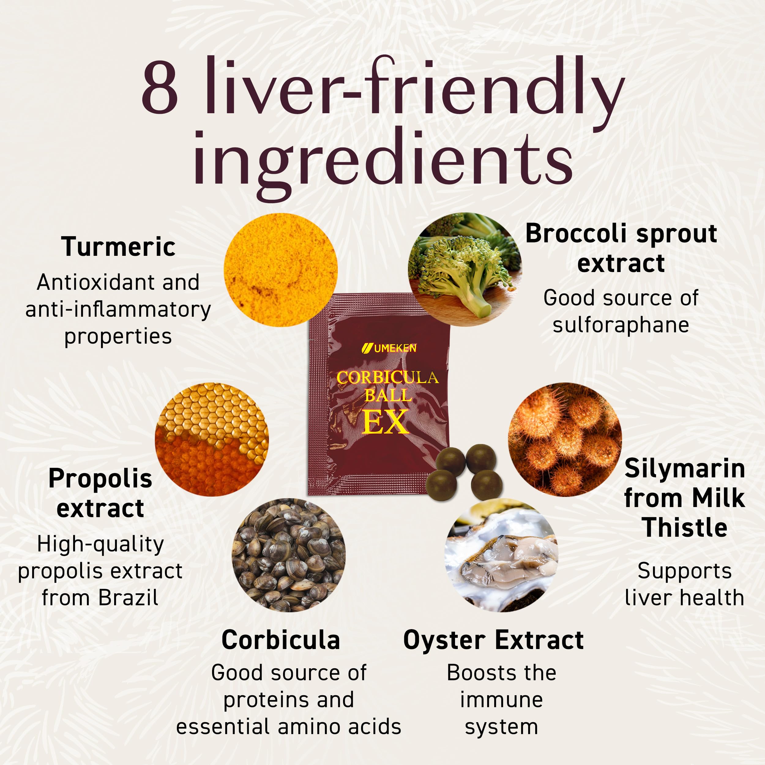 Liver-support ingredients: turmeric, silymarin, zinc, oyster, and L-ornithine