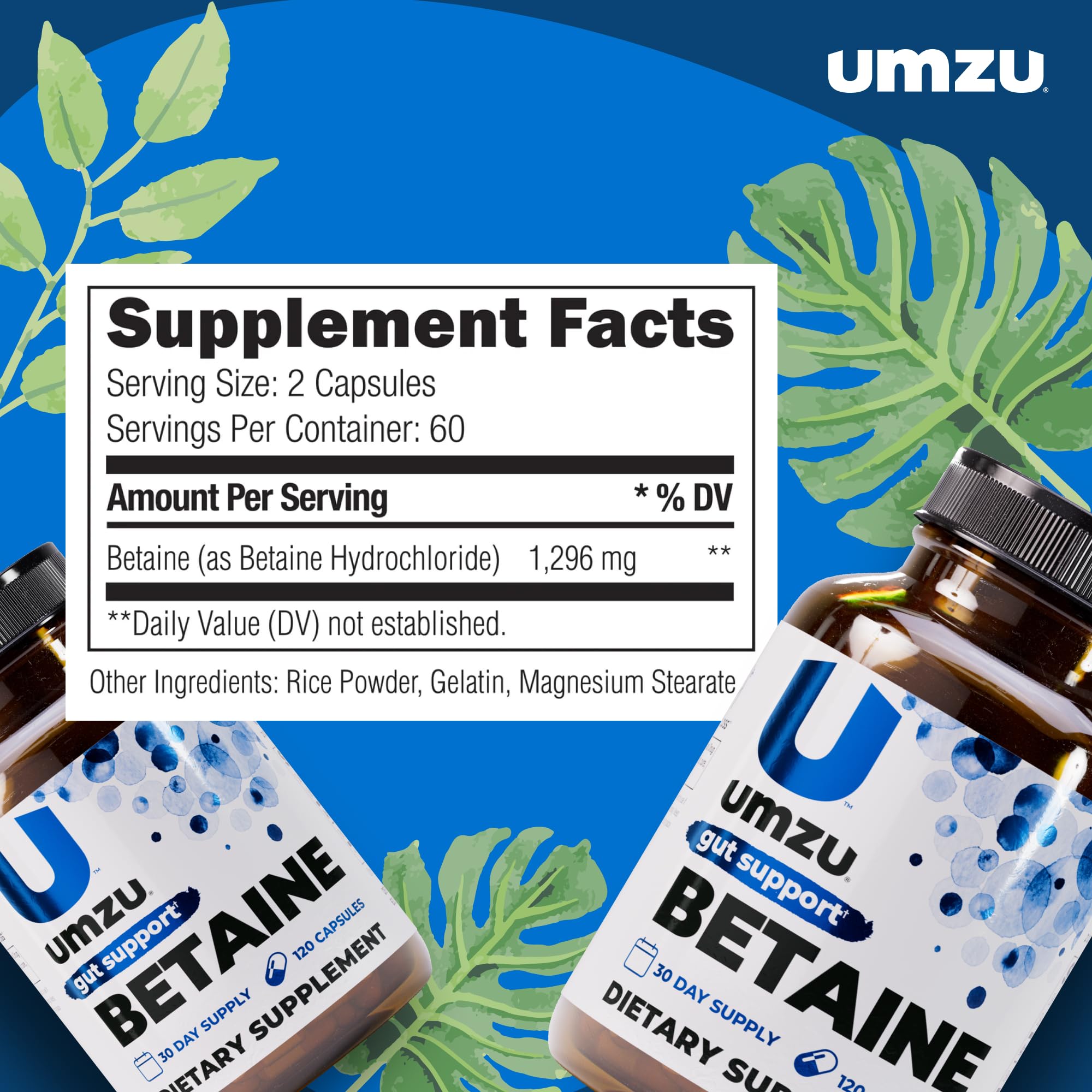 Betaine HCl digestive support illustration 2