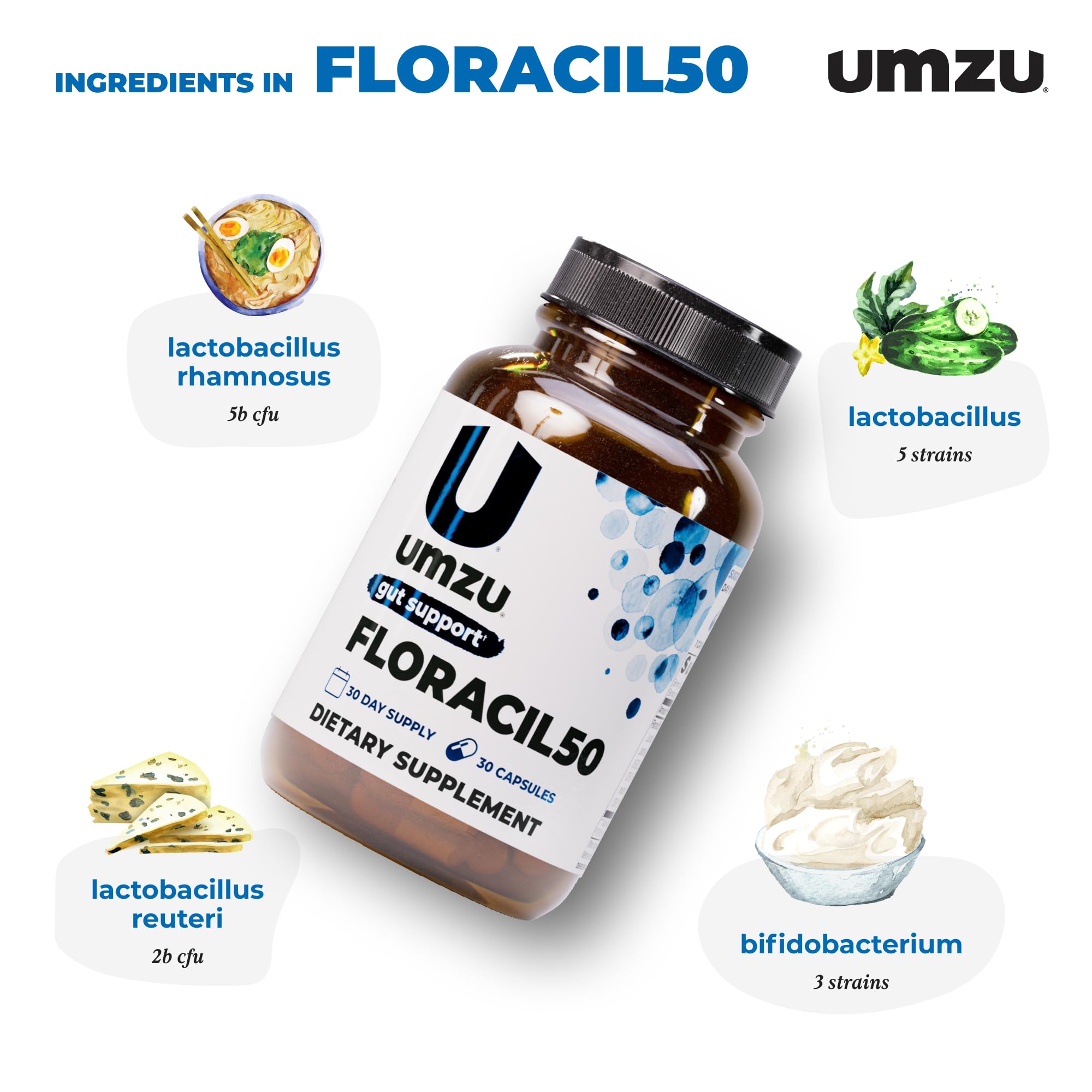 Visual concept of gut-brain connection and microbiome health