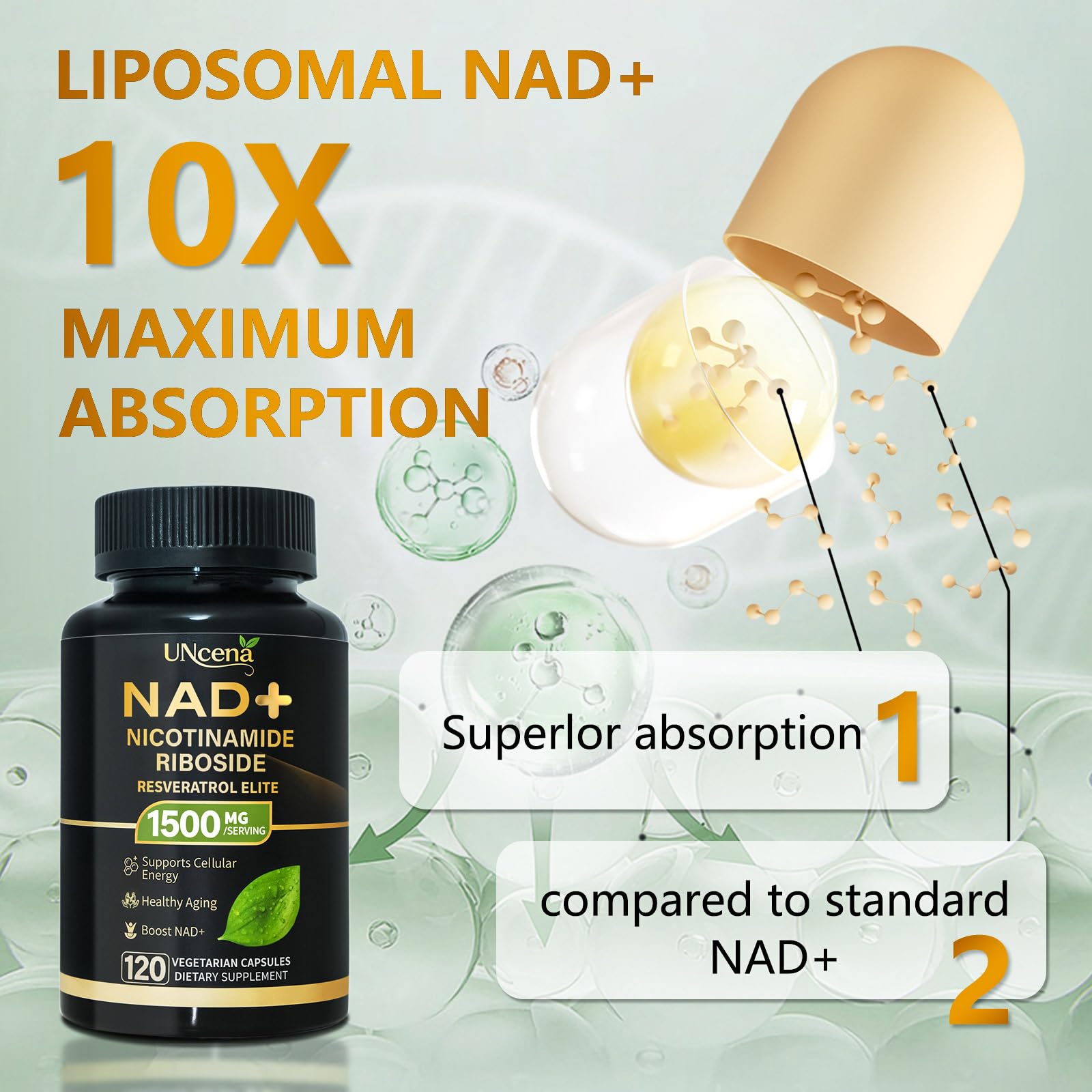 NAD+ boost for energy and cellular function