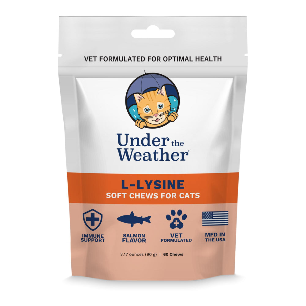 Under the Weather Pet Daily Cat L-Lysine 60 salmon-flavored chews
