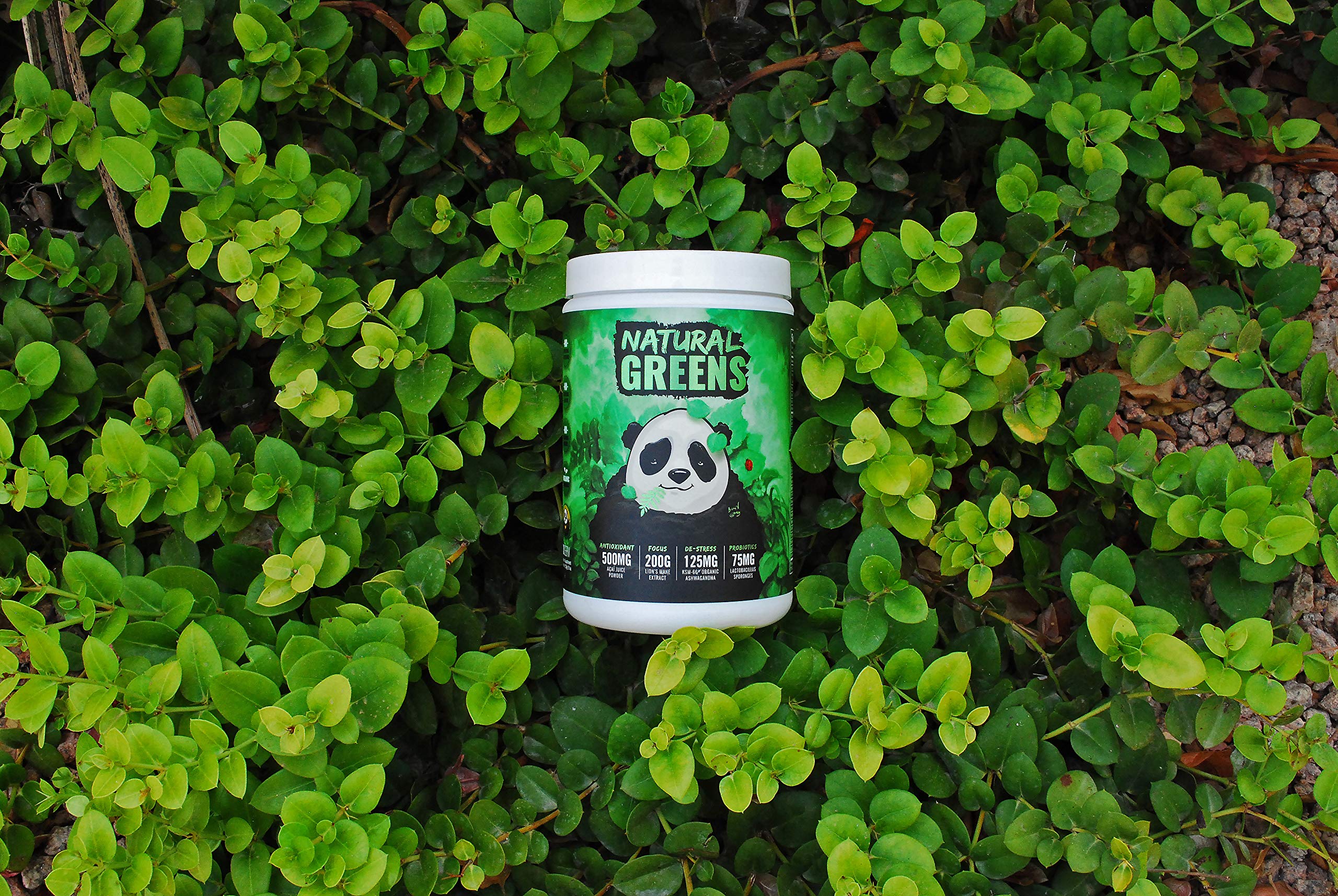 KSM-66 Ashwagandha and Lions Mane ingredients illustration for Panda Supps