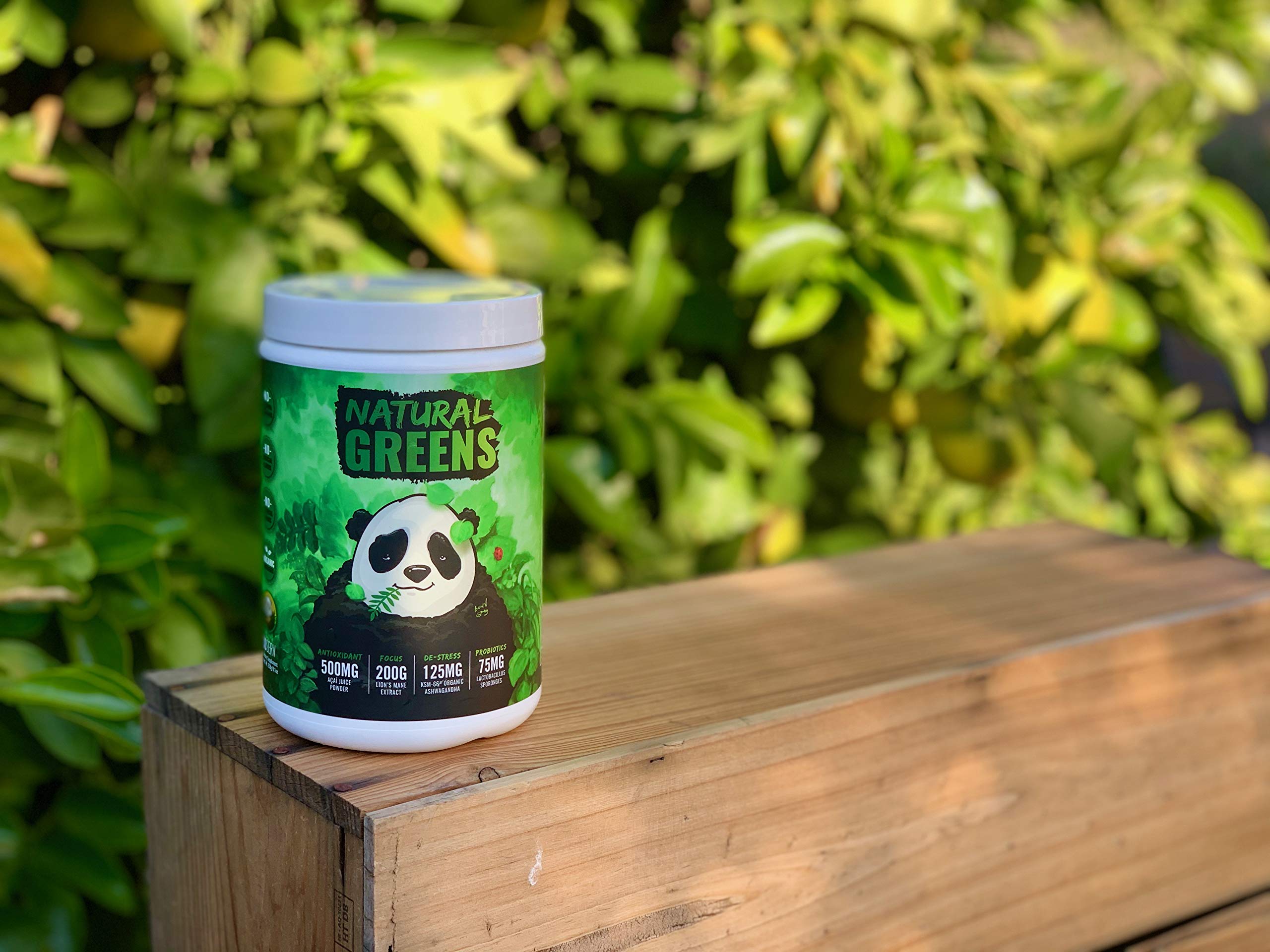 Panda Immune Boost concept with 14 organic powders