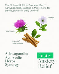 Detail view of Upbe Ashwagandha packaging showing 60 capsules