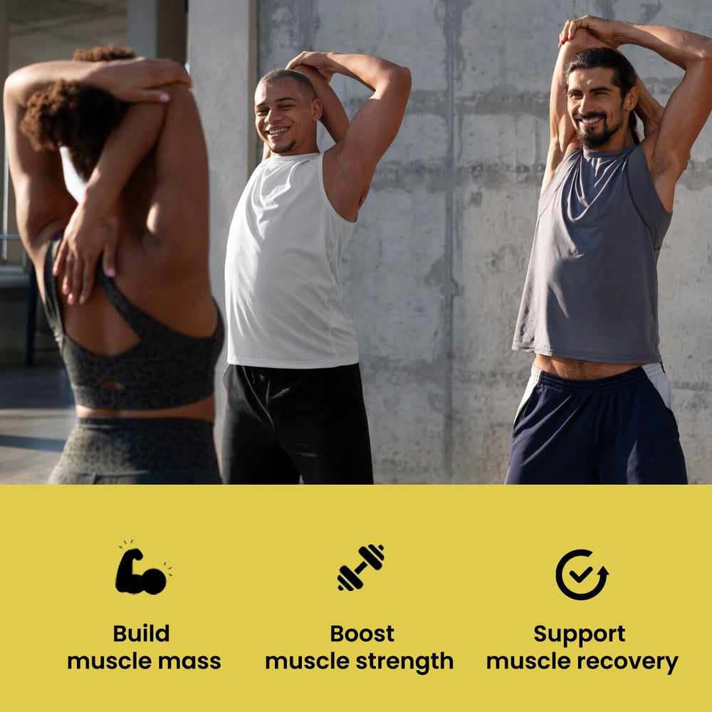 Vegan-friendly creatine powder, unflavored