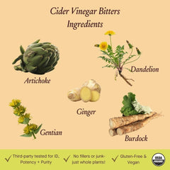 Close-up of herbal ingredients: dandelion root, artichoke leaf, chamomile, ginger