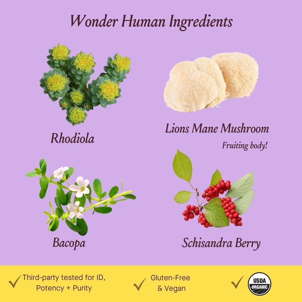 Illustration of Bacopa, Rhodiola and Lion's Mane as key ingredients