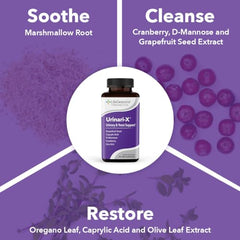 Uva Ursi, Grapefruit Seed Extract and Oregano components