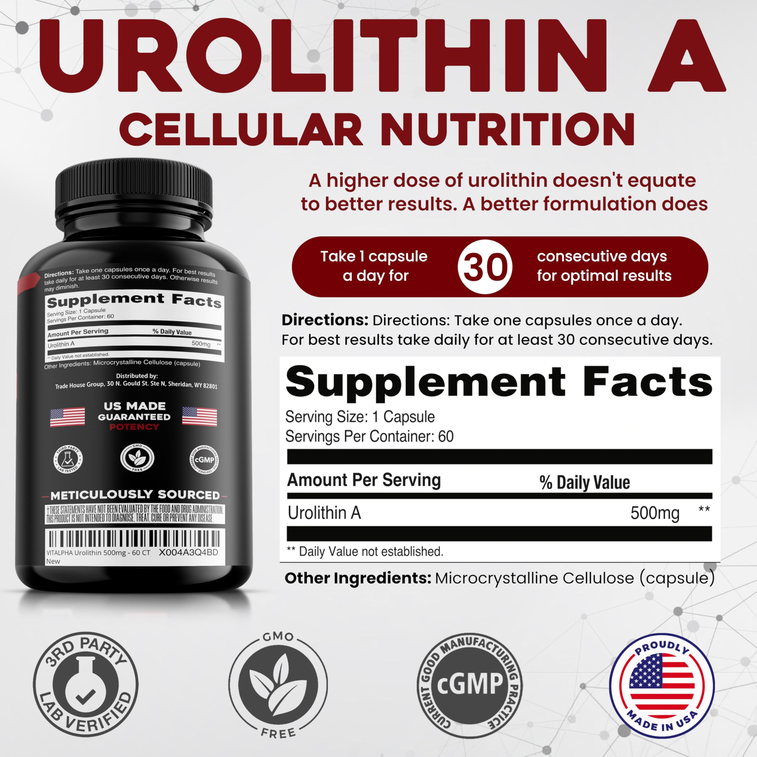 Urolithin A mitochondrial health benefits infographic