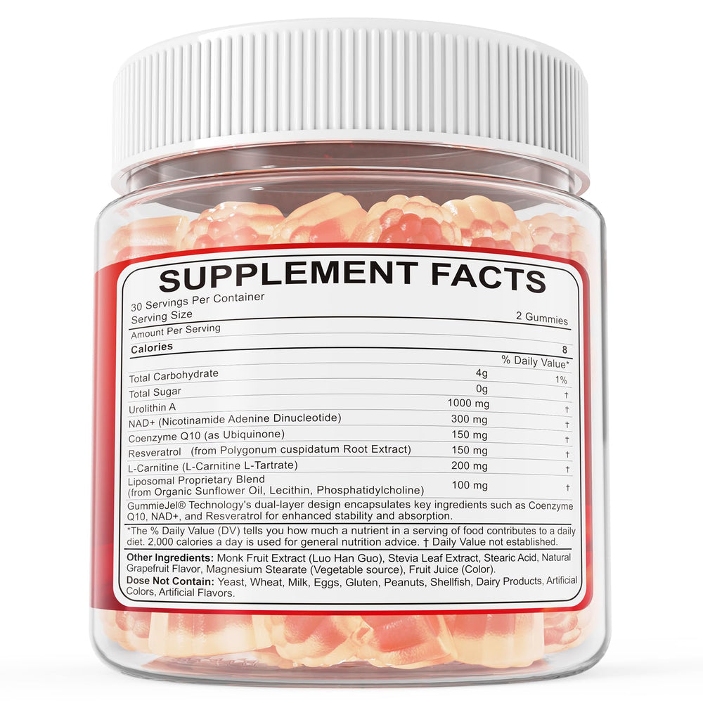 Concept image representing heart and brain health