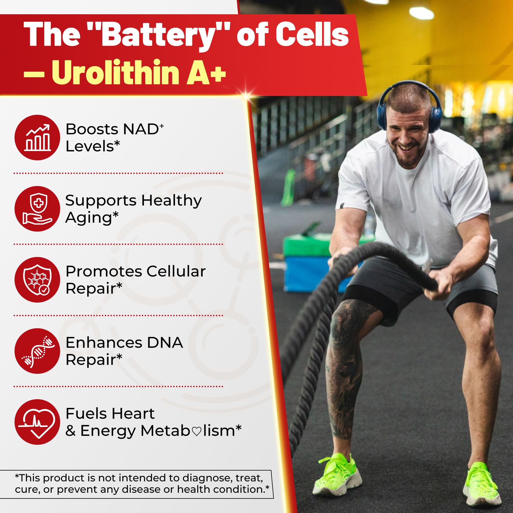 Ingredients panel for Urolithin A Gummies