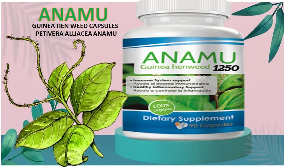 Manufacturing facility in the USA for cGMP-certified production