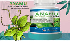 Manufacturing facility in the USA for cGMP-certified production