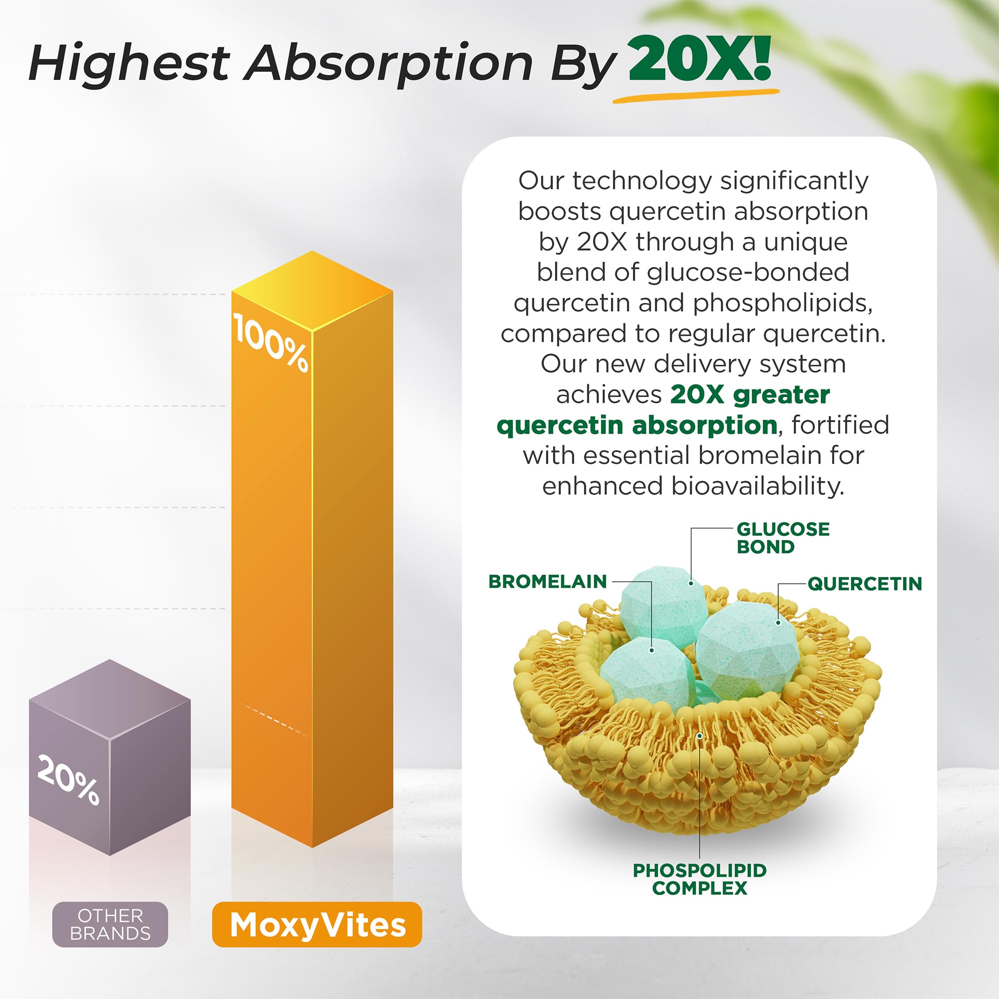 Proudly made in the USA in a GMP-certified facility