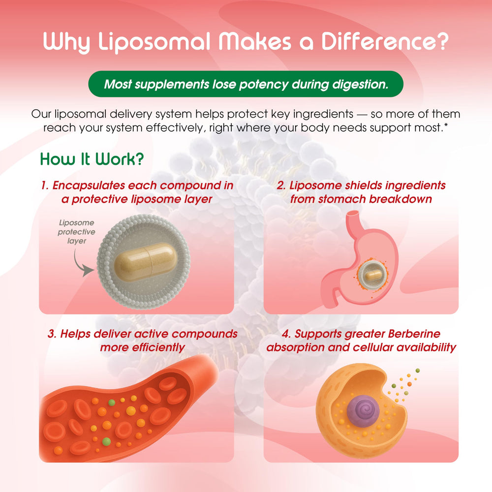 USA-made liposomal berberine bottle close-up