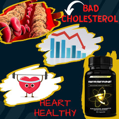 USA-made GMP-certified berberine supplement bottle