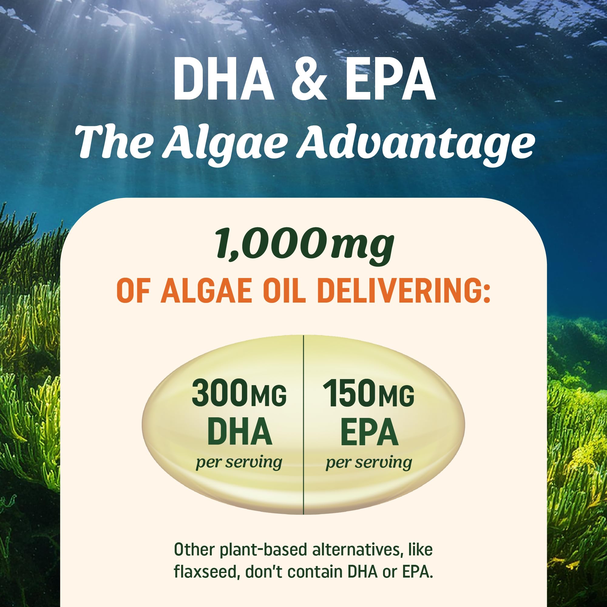 Interior of USA-made GMP-certified facility