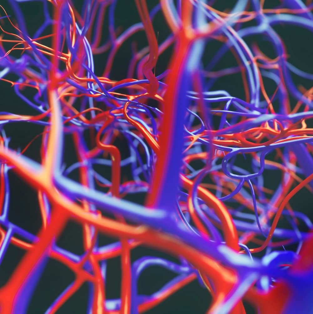 Made in USA with Japanese Natto NSK-SD text