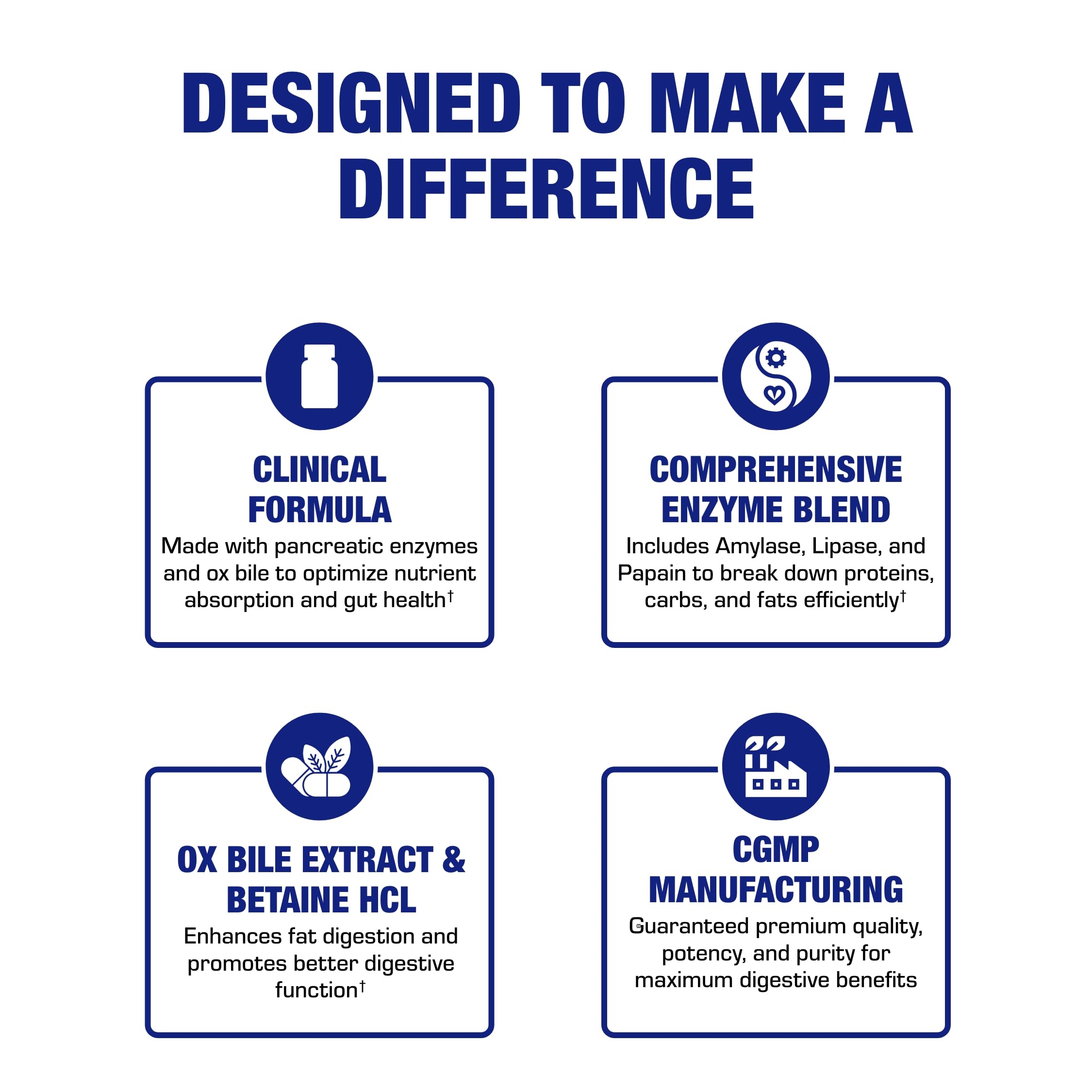 Usage guide and benefits label for the enzyme supplement
