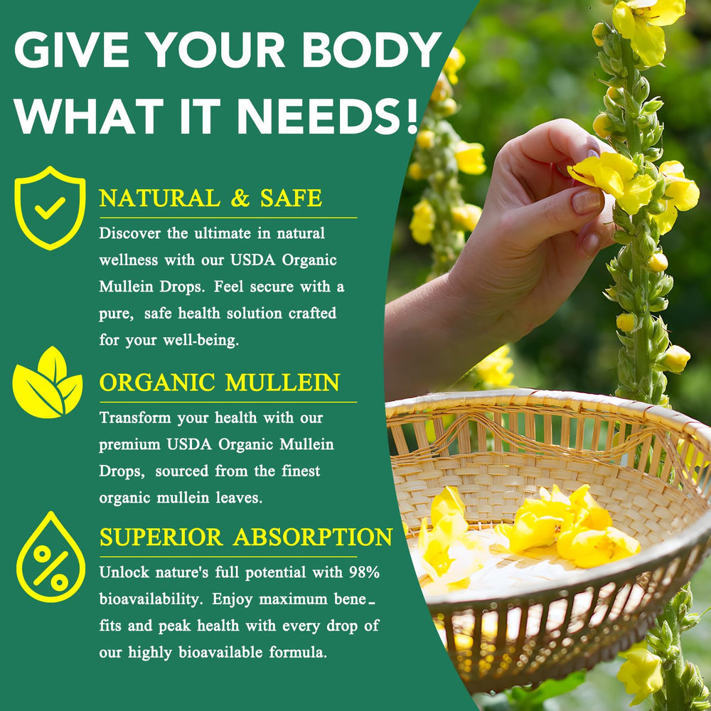 Usage instructions for mullein drops dosage