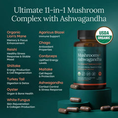USDA Organic Lions Mane with Ashwagandha Mushrooms Capsules