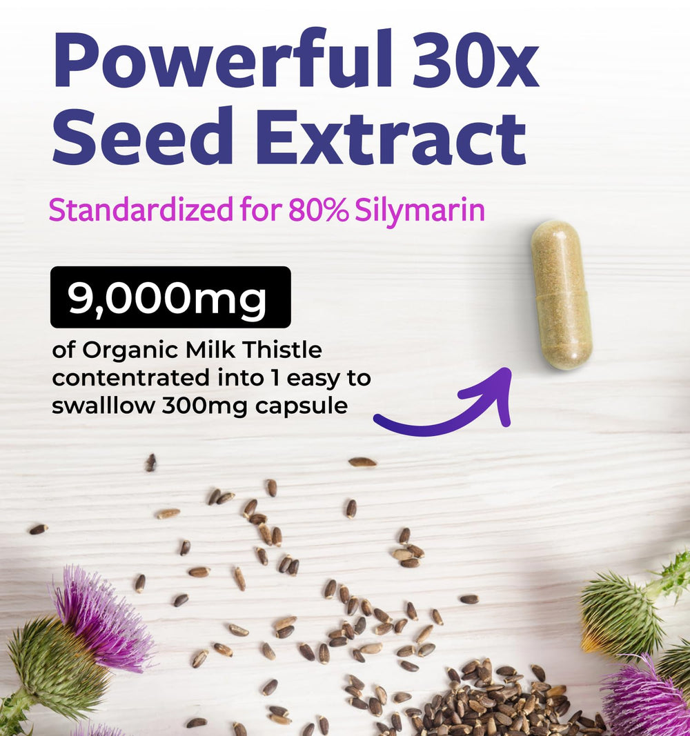 Close-up of Milk Thistle 80% Silymarin 30:1 extract representation