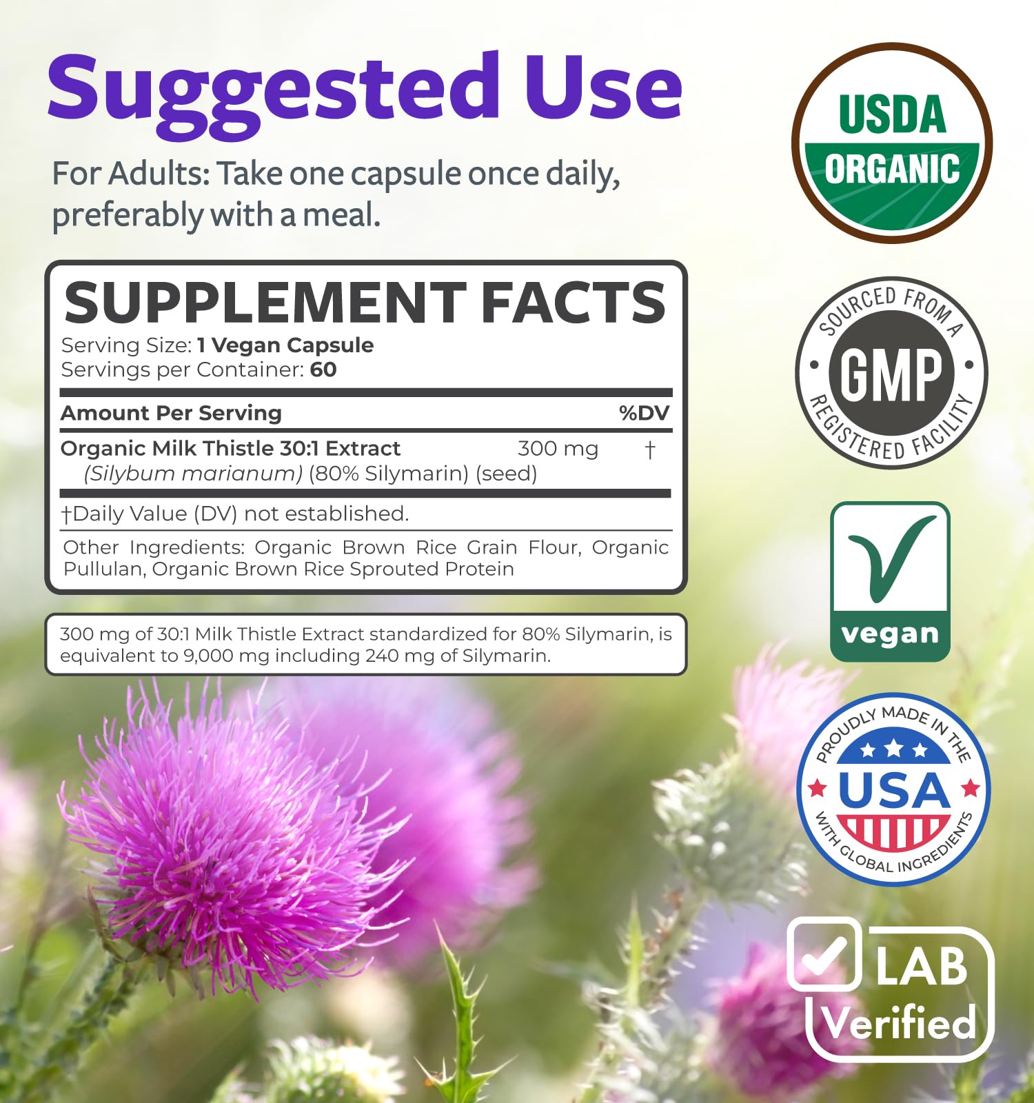 GMP-certified manufacturing facility for milk thistle capsules