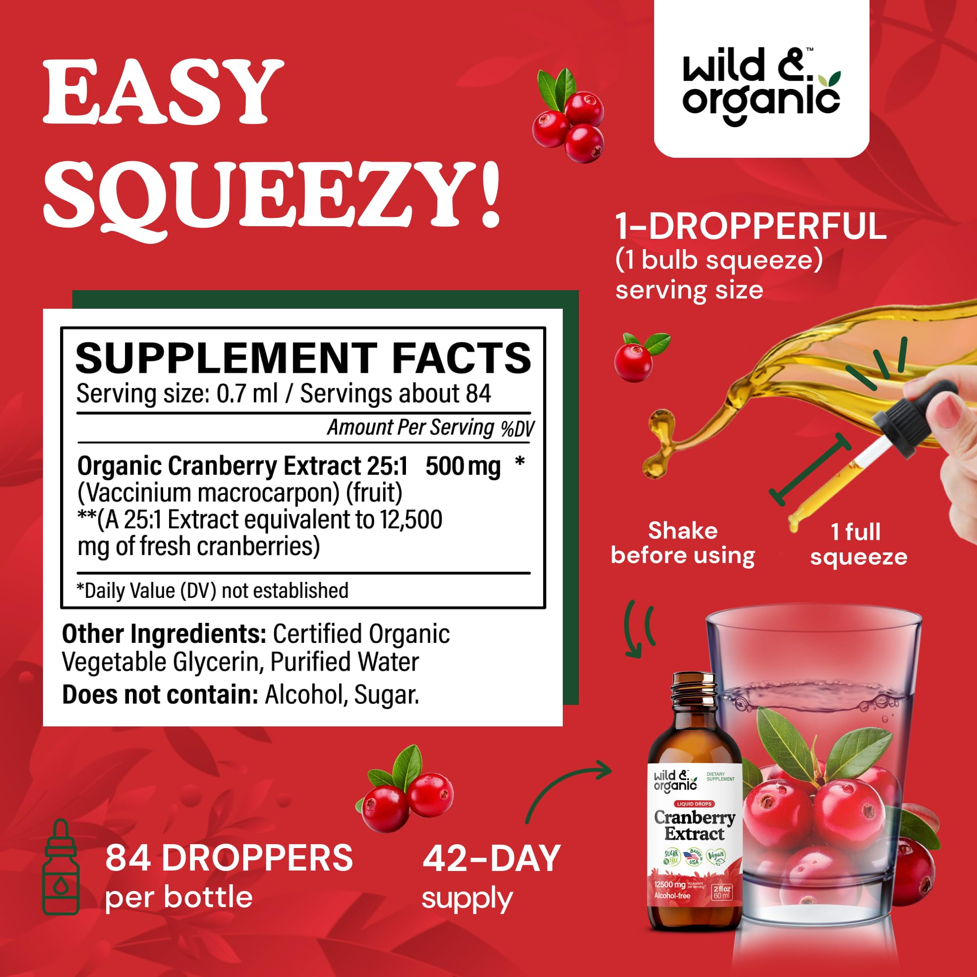 Urinary tract support for women and men illustration