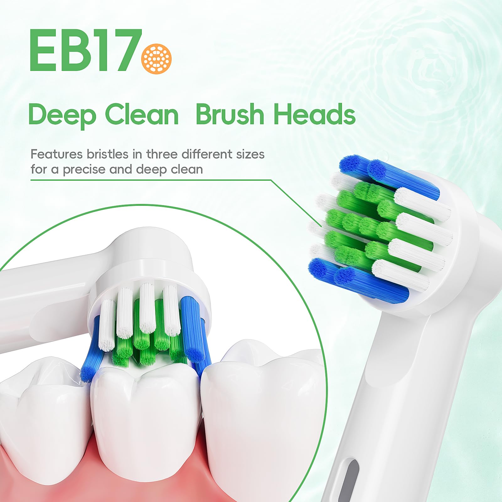 Durable Dupont bristles maintain shape for long-lasting performance