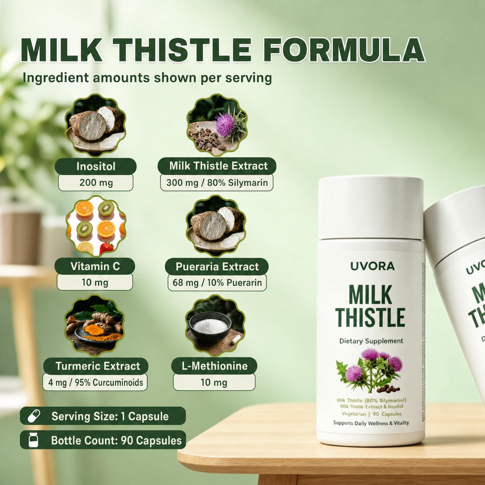 UVORA Milk Thistle capsules in hand illustrating single-capsule serving convenience