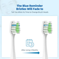 Individually vacuum-packed brush heads with hygienic dust covers