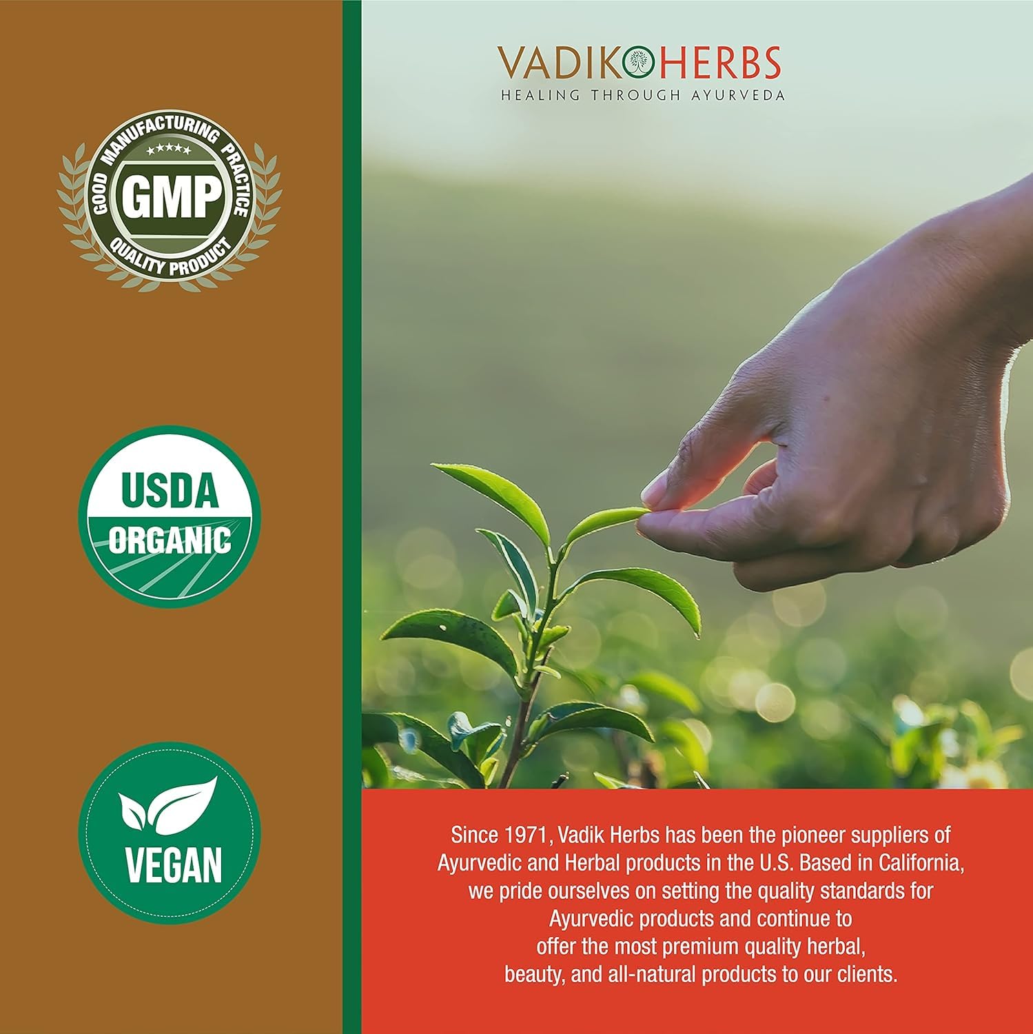 Safety tested and trusted since 1971 badge on Vidanga product