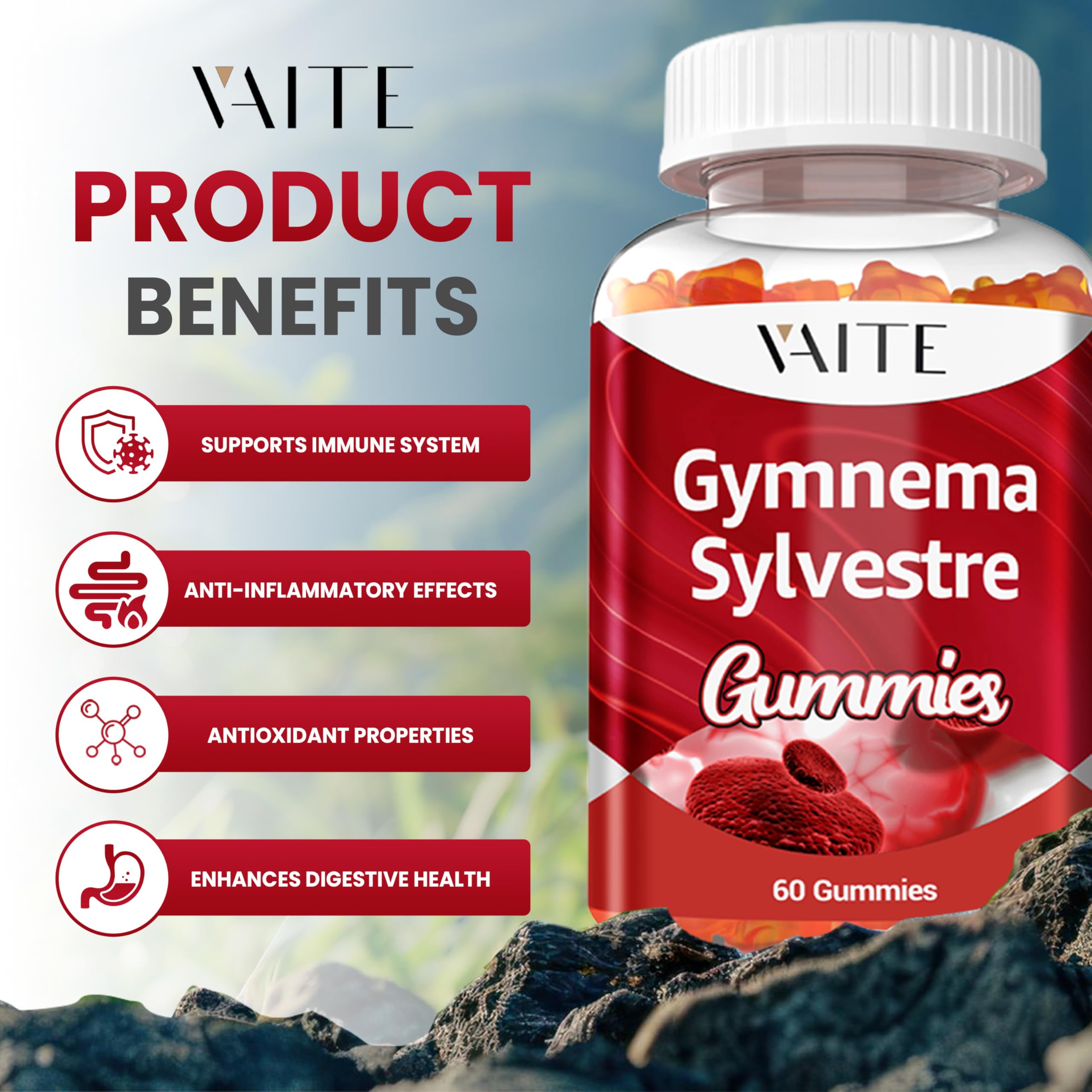 Back view of VAITE Gymnema Sylvestre Gummies bottle showing label details