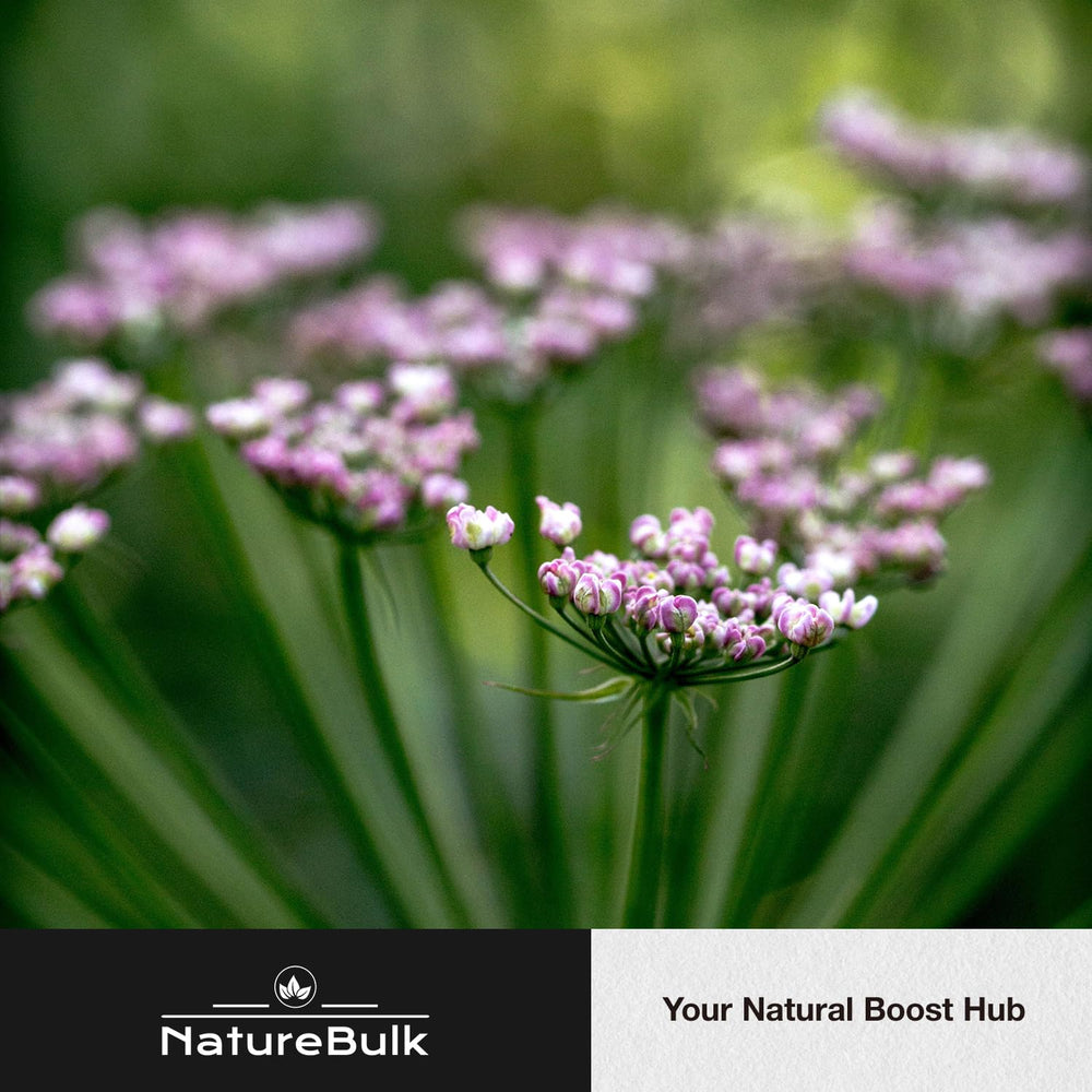 Sleep support concept with valerian capsules for restful night