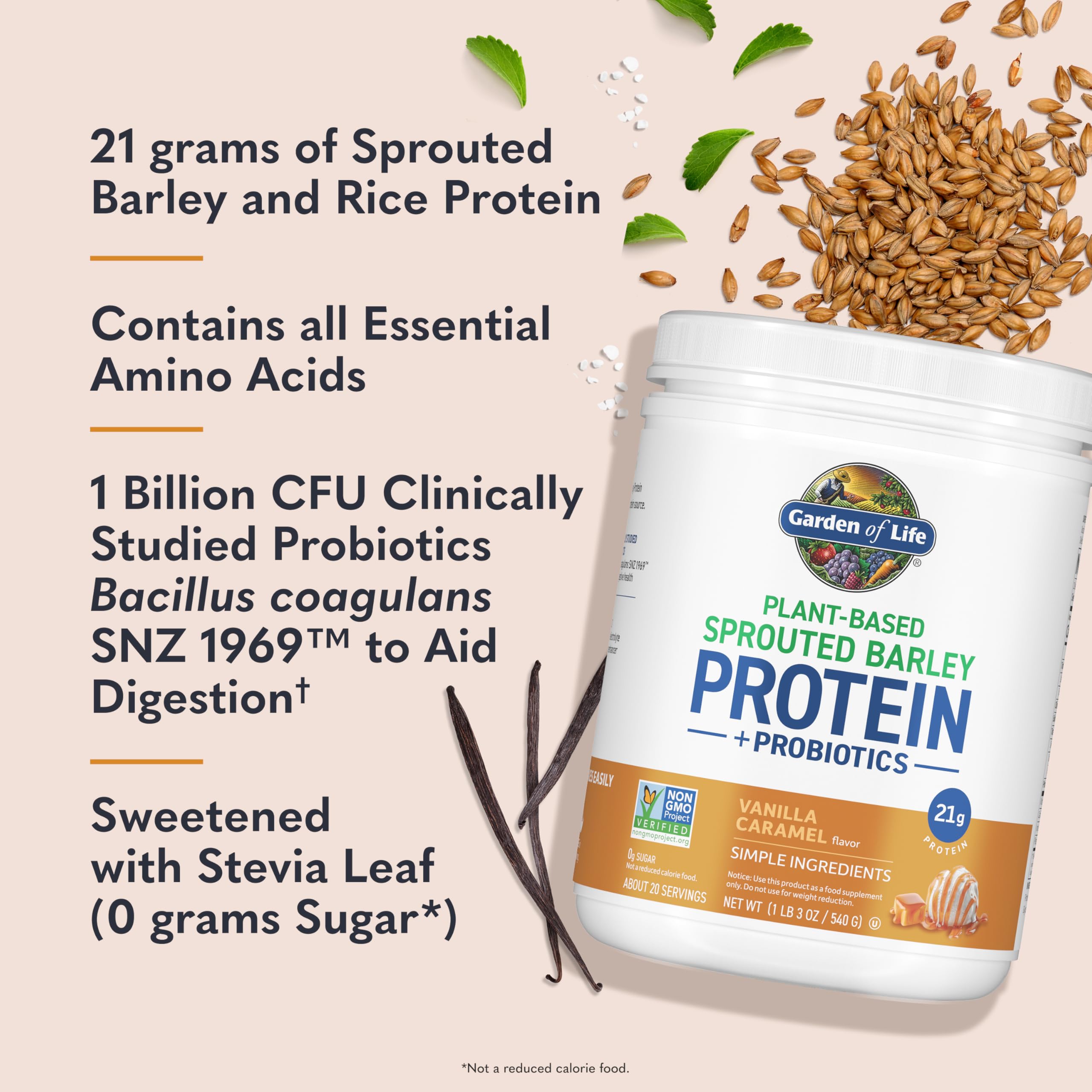 Protein powder scoop with vanilla caramel flavor