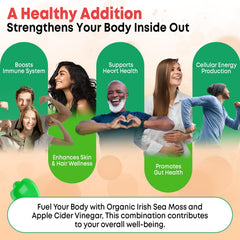 Vazatisi ingredients flatlay with sea moss and pomegranate highlighting natural-sourced nutrients