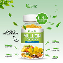 Back label of Vazatisi Mullein Gummies bottle