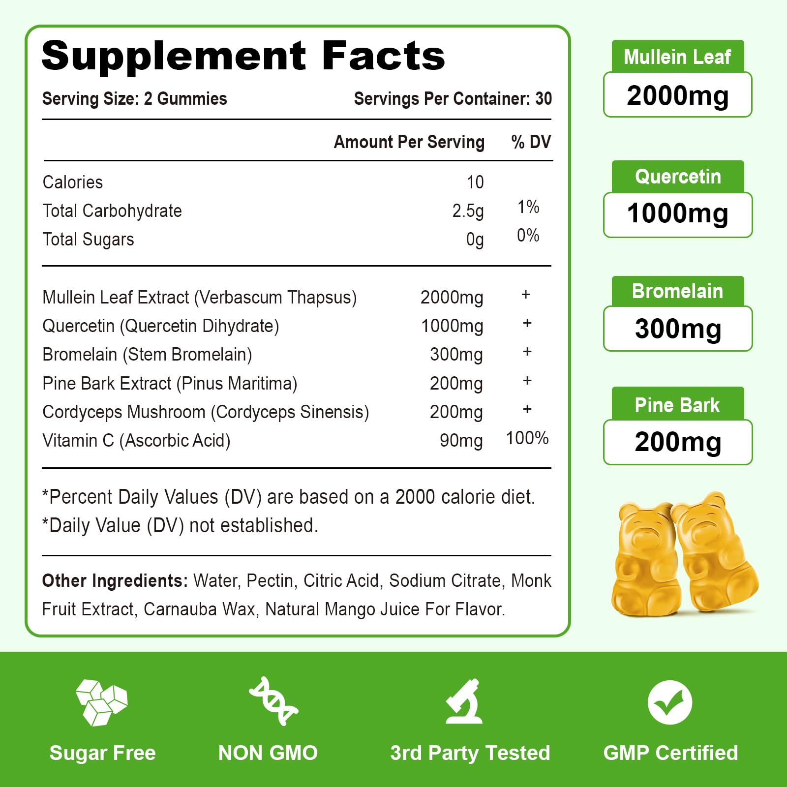Lung health concept graphic with herbs and lungs