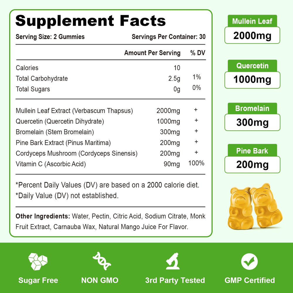 Lung health concept graphic with herbs and lungs