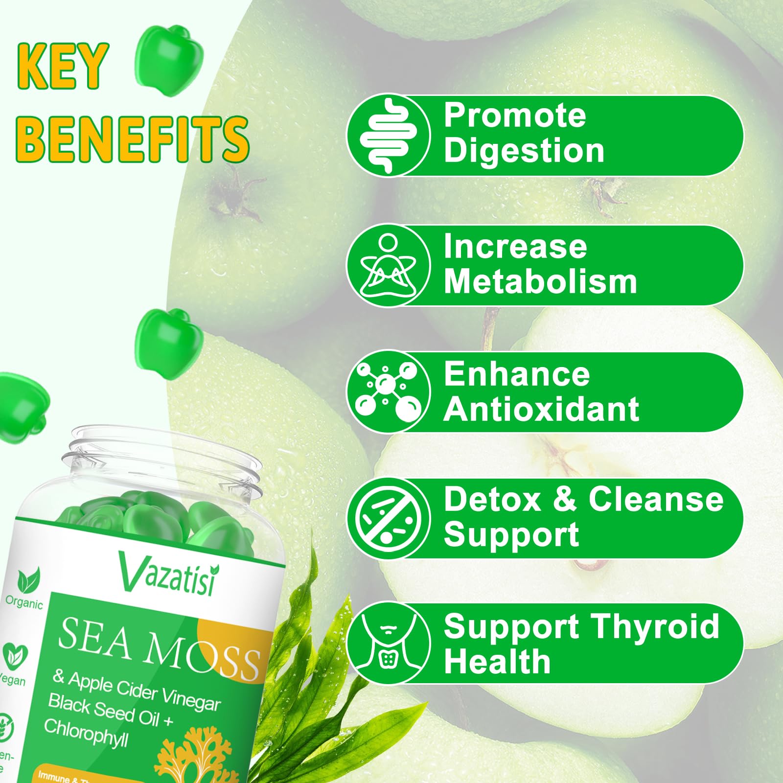 Close-up of Vazatisi sea moss gummies bottle