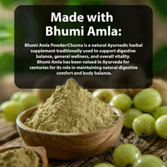 Illustration of Bhumi Amla antioxidants and Vitamin C