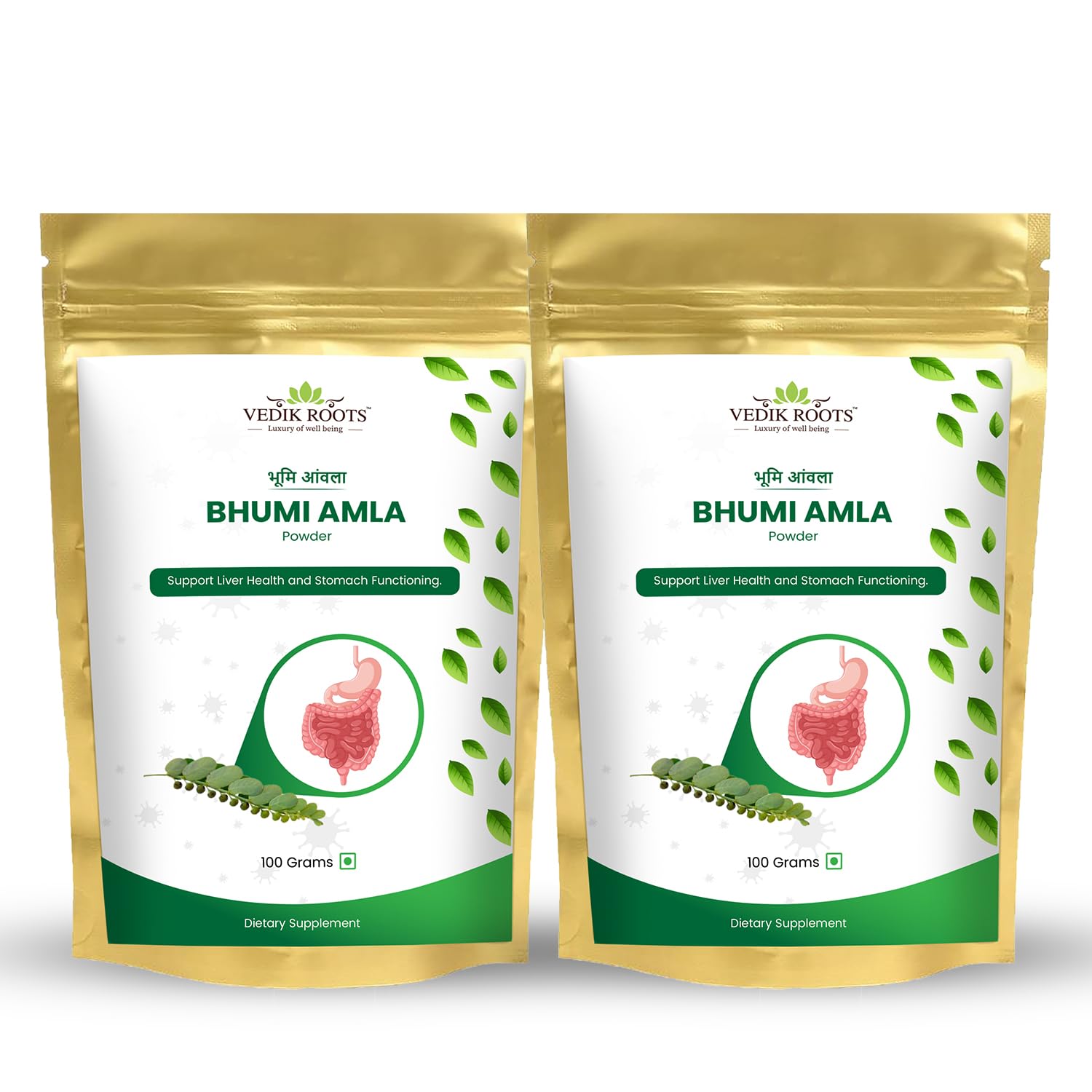 VEDIKROOTS Organic Bhumi Amla powder 100g pack 2 front view