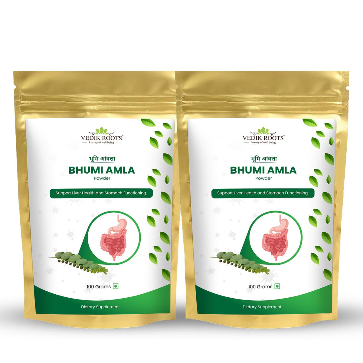 VEDIKROOTS Organic Bhumi Amla powder 100g pack 2 front view